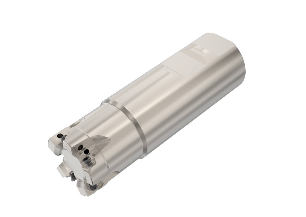 R217.96-01.25-3-04-5A_1