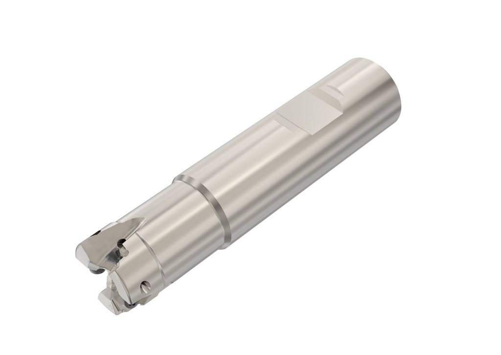 R217.96-2020.3-04-3A_1