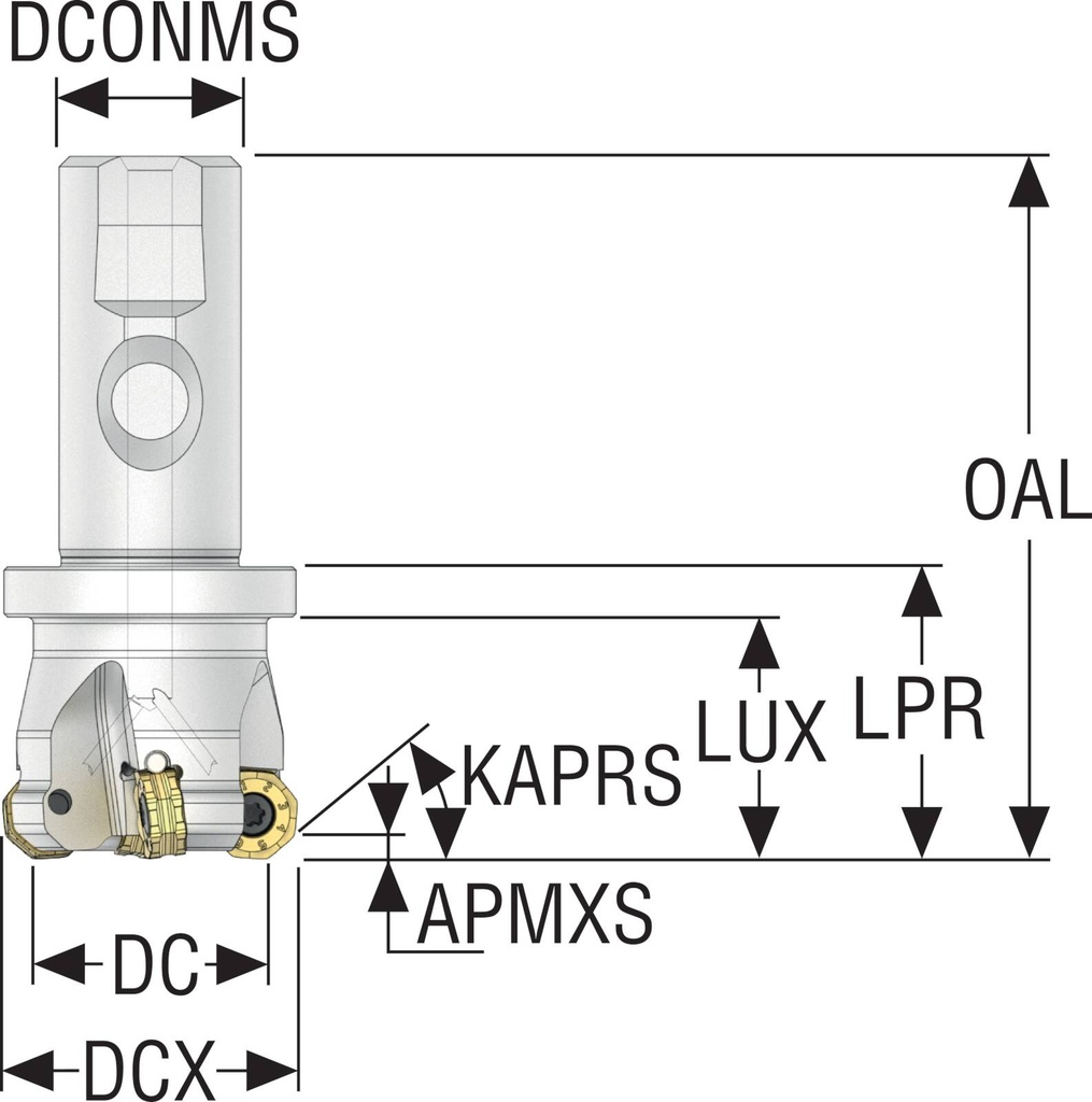 R217.48-01.25.3S-05-4SA_2