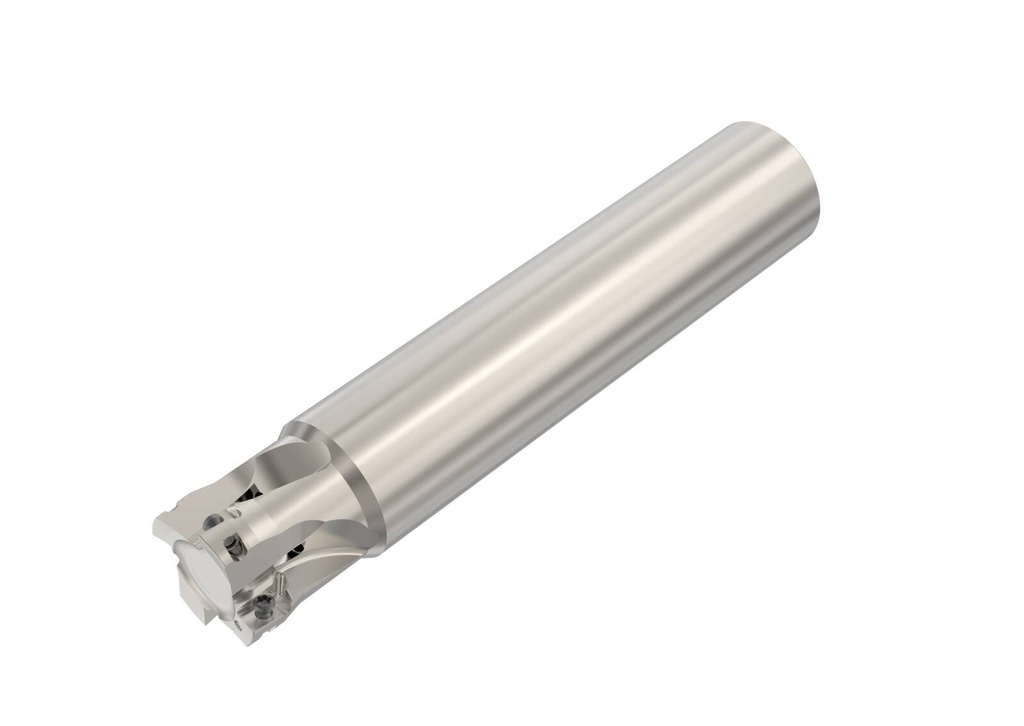 R217.69-00.75-0-06-4AN_1