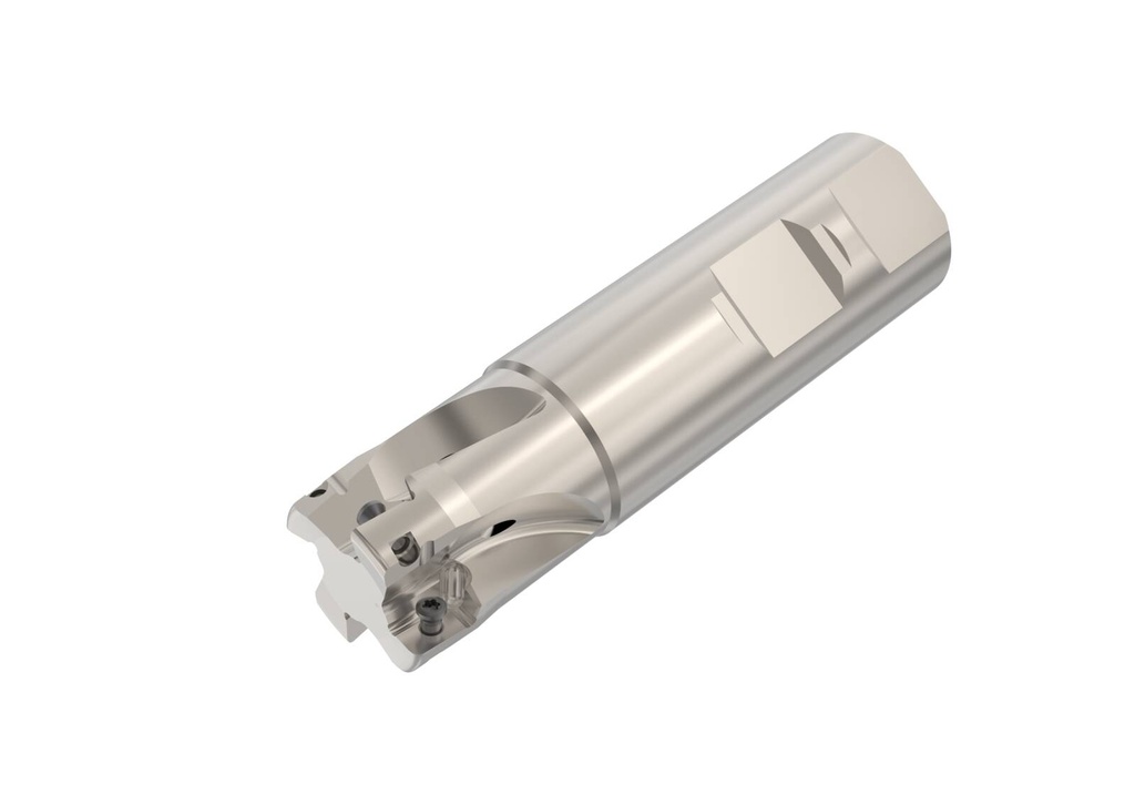 R217.69-01.00-3-10-4A_1