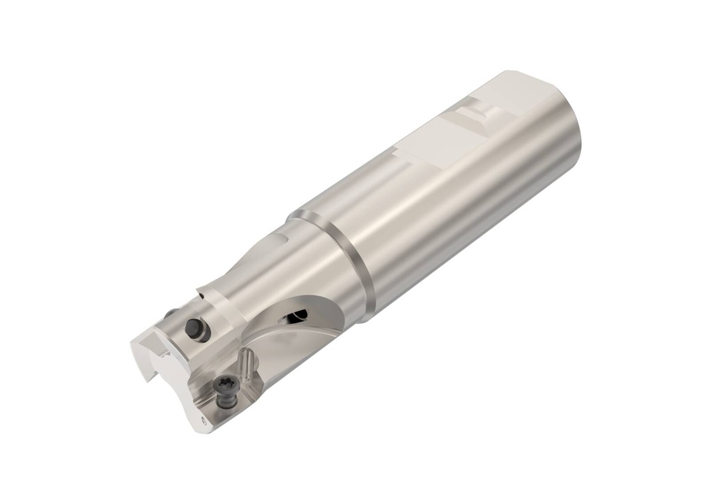 R217.69-01.00-3-12-3AN_1