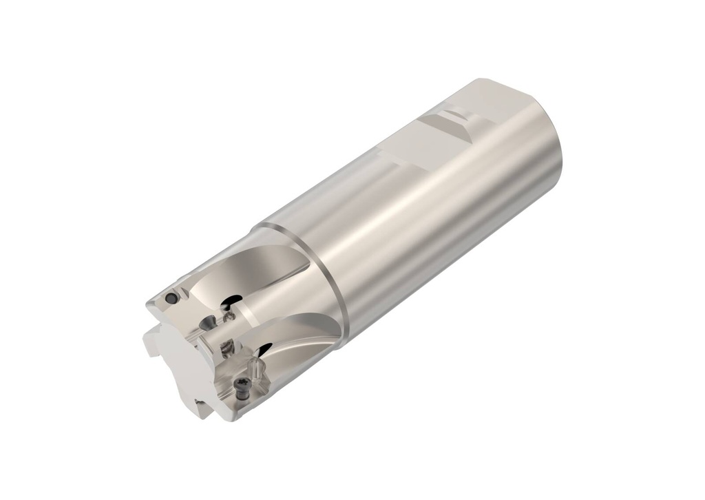 R217.69-01.25-3-10-5A_1