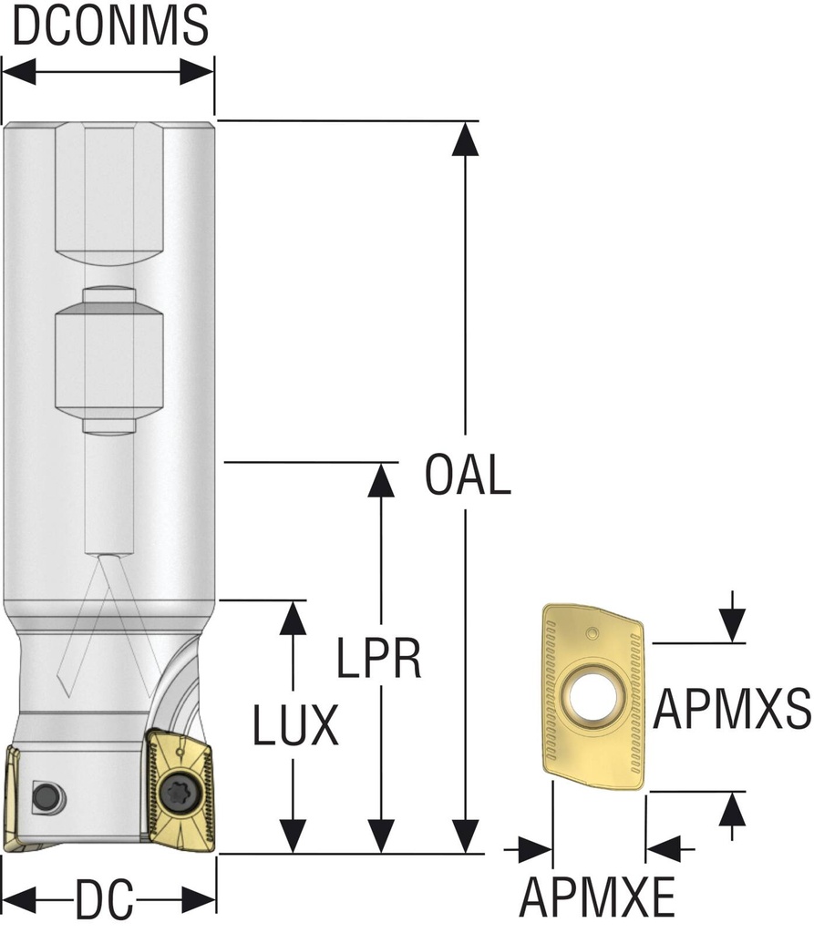 R217.69-01.25-3-XO16-3A_2