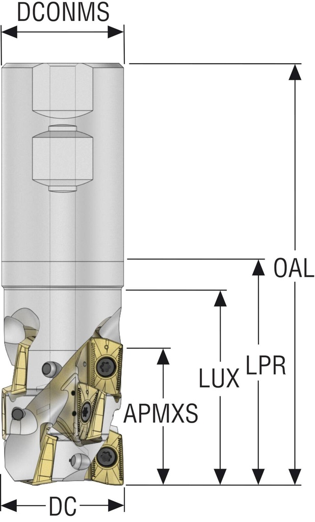 R217.69-02.00-3-2.24-XO16-4A_2