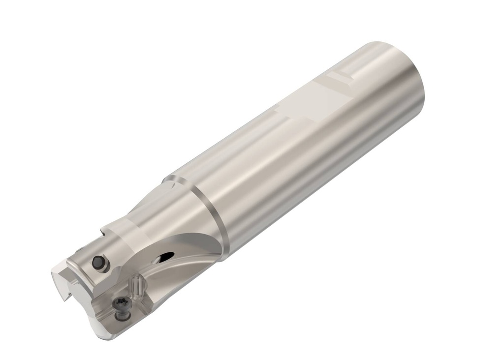 R217.69-2020.3-10-3A_1