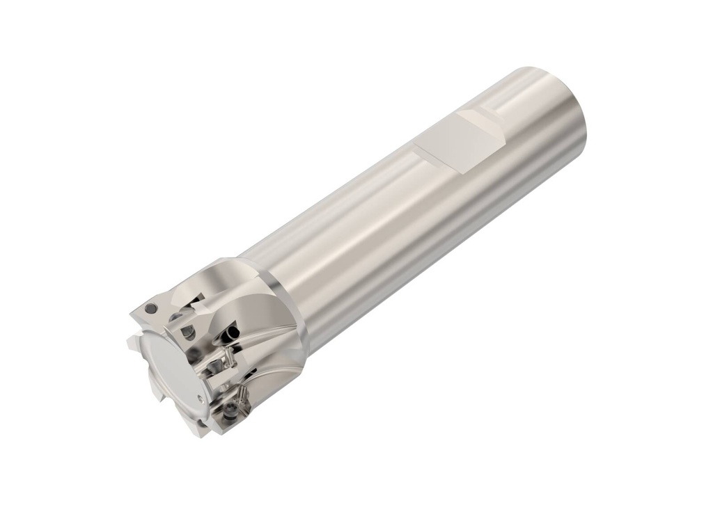 R217.69-2025.3-06-7AN_1