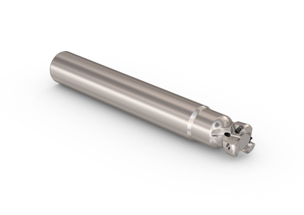 R217.21-1.00.0-LO06.3A_1