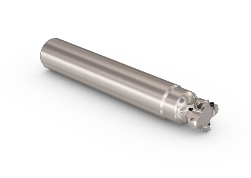 R217.21-1.25.0-LO06.4A_1