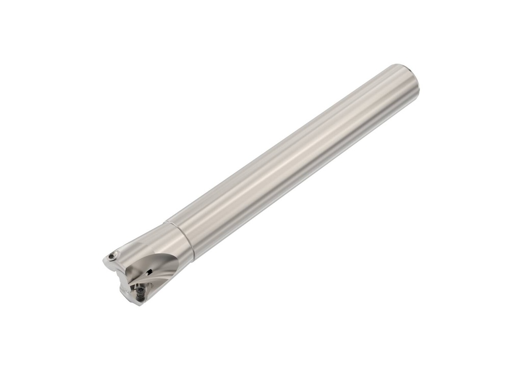 R217.21-2025.0-R100.2A_1