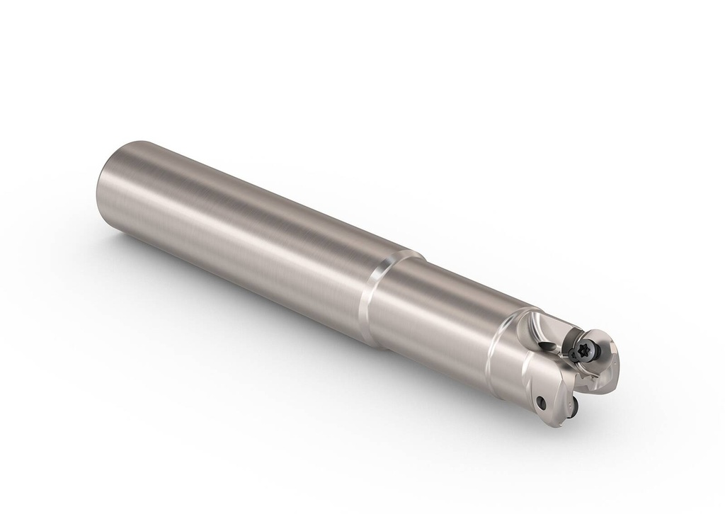 R217.29I-01.00-0-06.2A_1