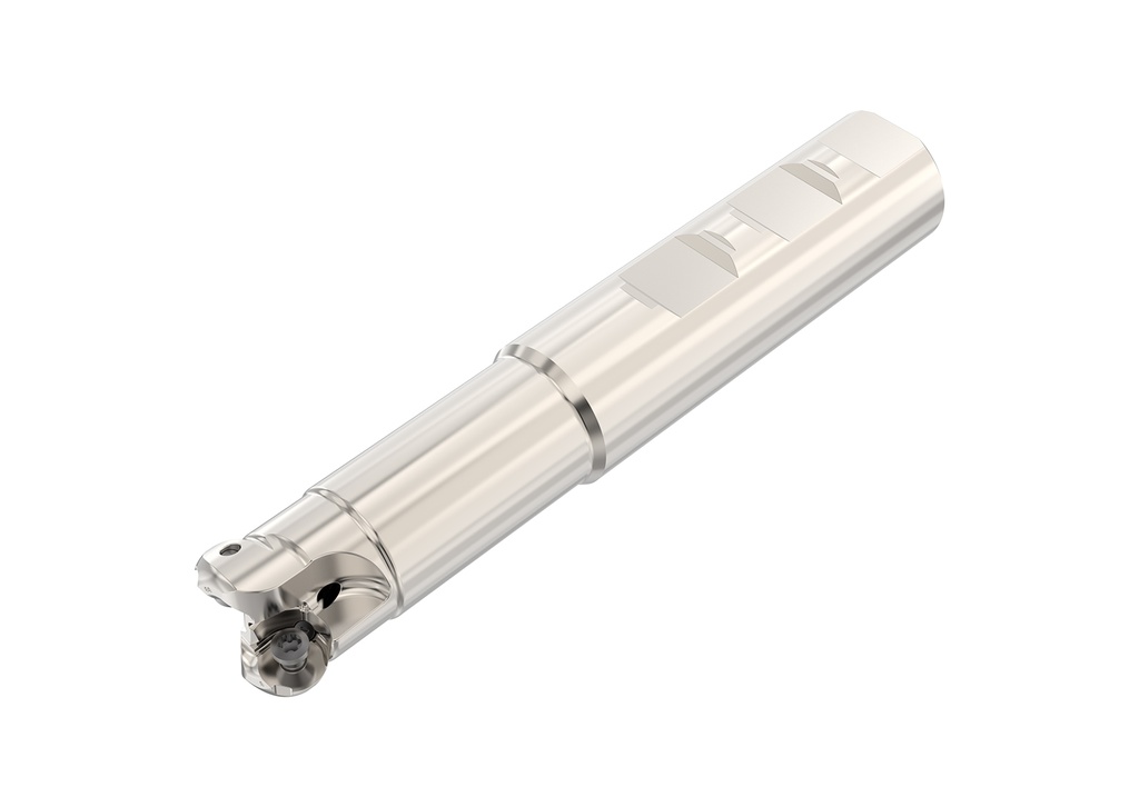 R217.29I-01.00-3F-06.2A_1