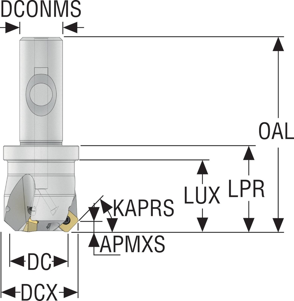 R217.53-01.25.3S-09-4A_2