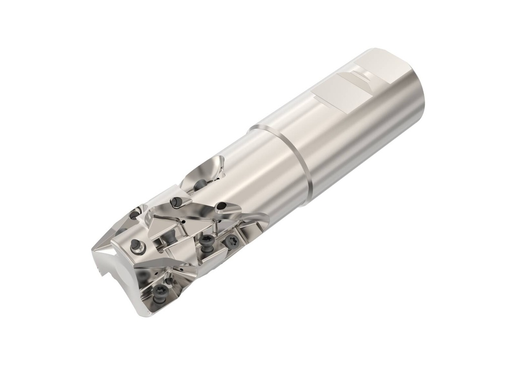 R217.42-1.25-3-1.61-LNXO.3A_1