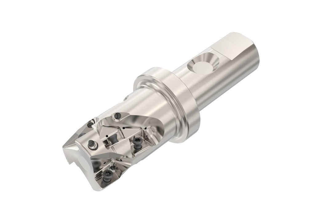 R217.42-2532.3S-031-LNXO.3A_1