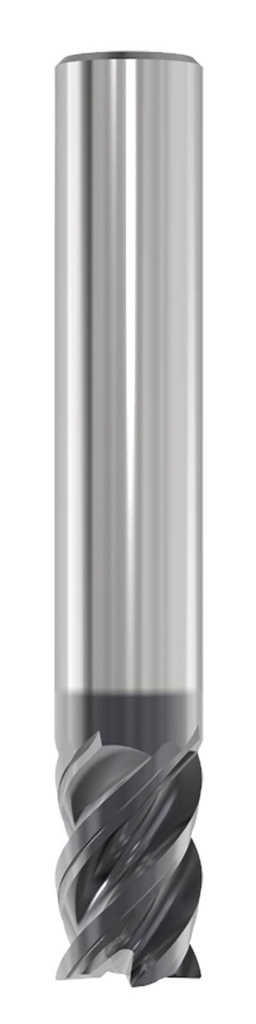 JS554100D1C.0Z4-SIRA_2