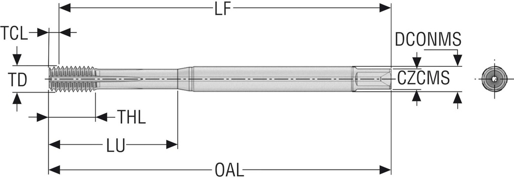 T33A-FSC01E03-5X0.8-65R_1