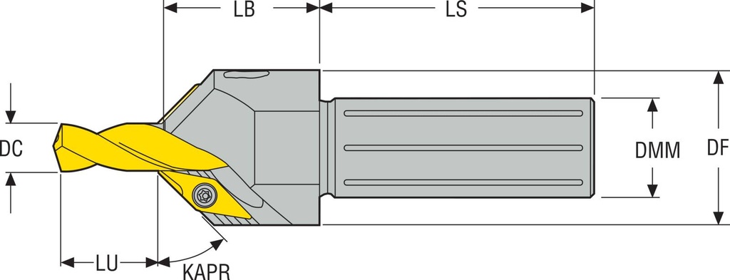SD200-C45-16-1000R1_2