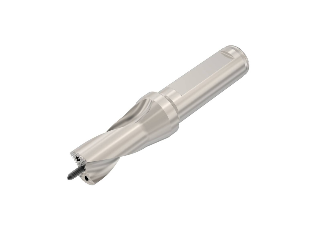 SD101-16.00/16.99-25-0625R7_1