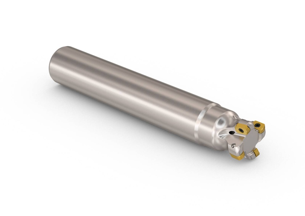 R217.21-1.25.0-LO06.4A