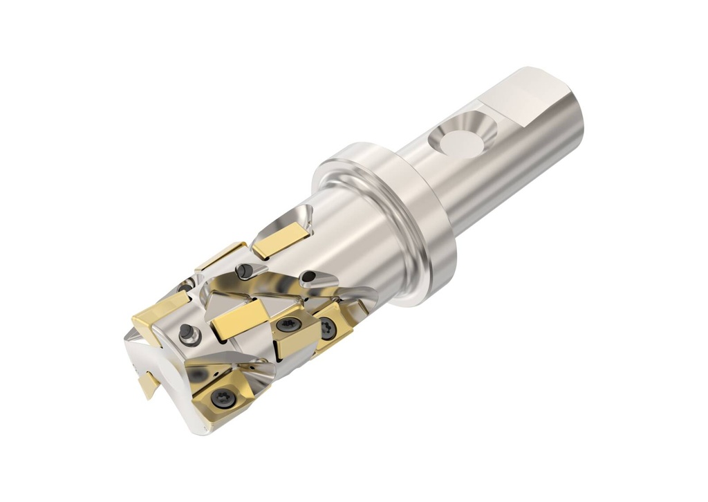 R217.42-2532.3S-041-LNXO.3A