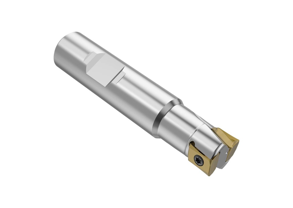 R217.94-2020.3-08-2A