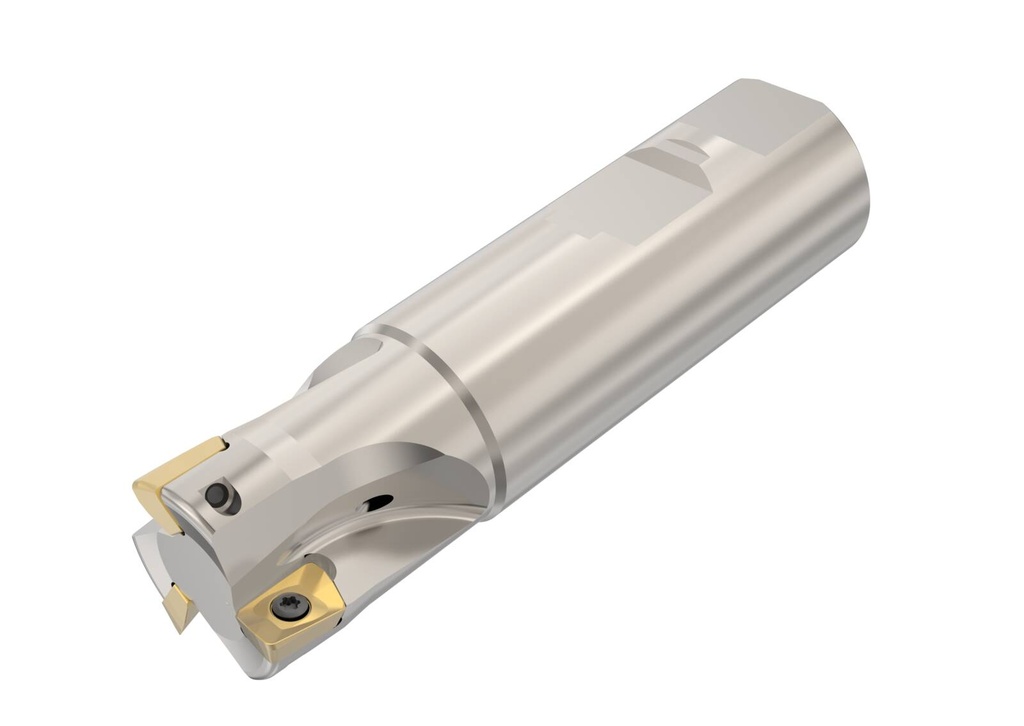 R217.69-01.00-3-10-3A