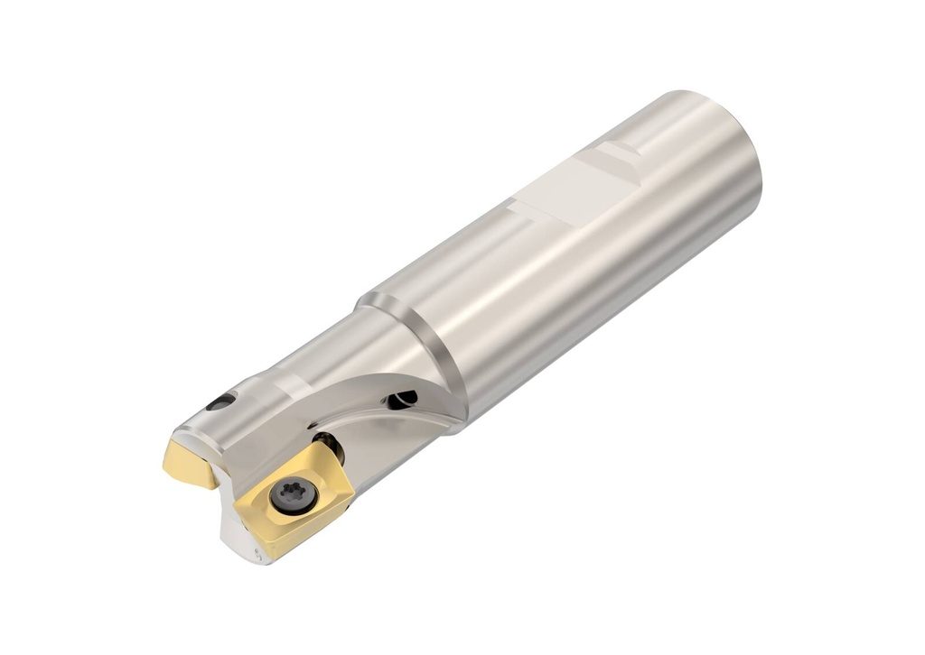 R217.69-2020.3-12-2AN