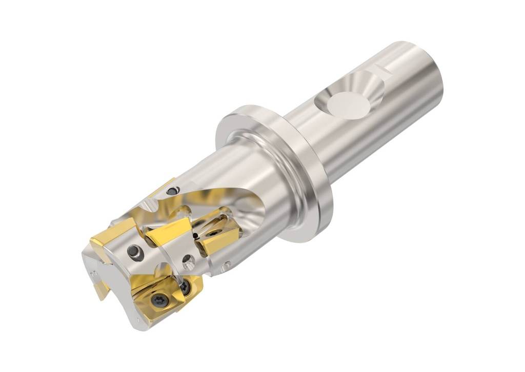 R217.69-2025.3S-025-10.3A