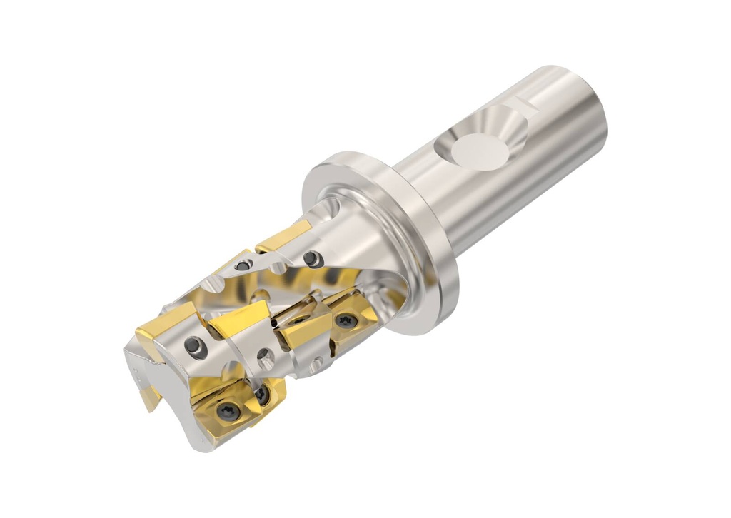 R217.69-2025.3S-034-10.3A