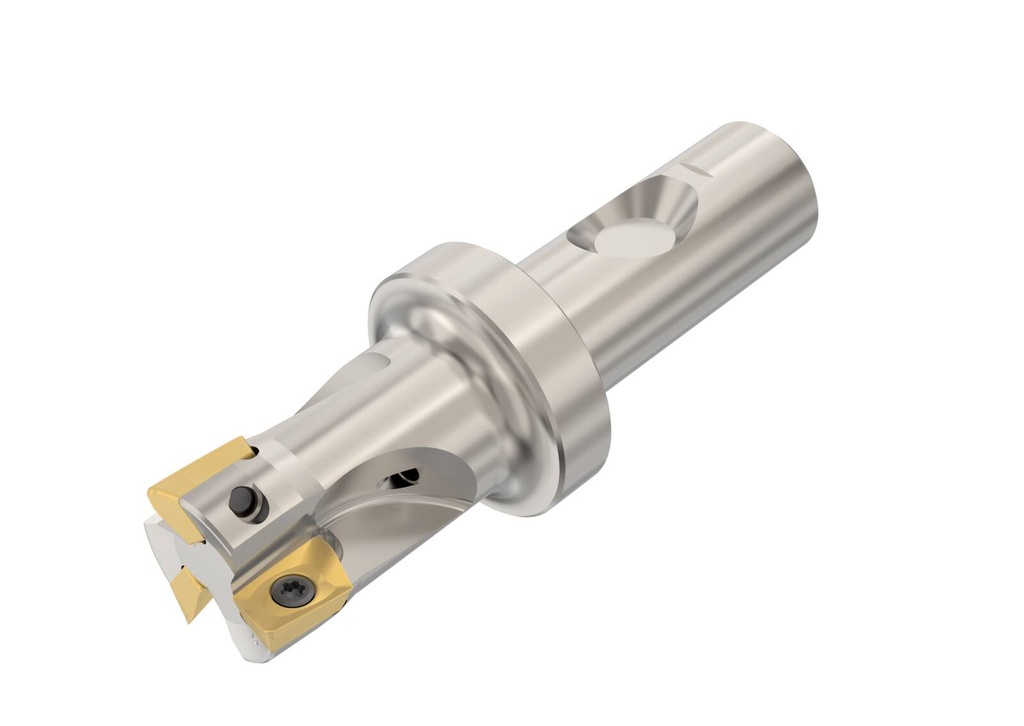 R217.69-2025.3S-12-3AN