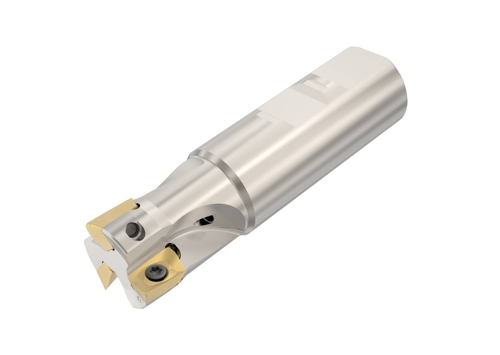 R217.69-2525.3-12-3AN