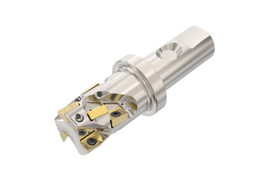 R217.42-2532.3S-031-LNXO.3A