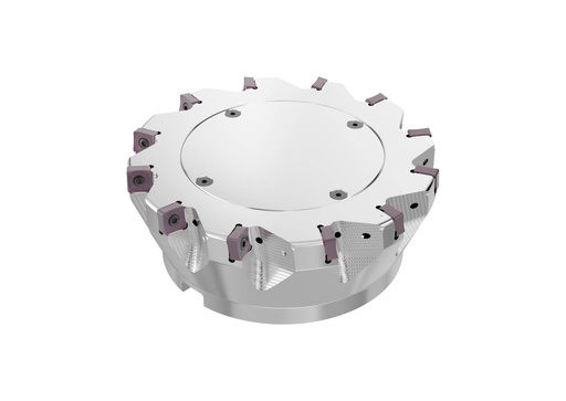 R220.88-8160-12-12SAP