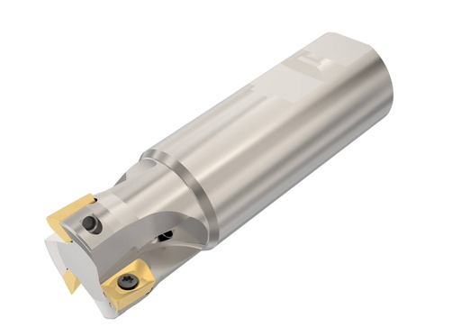 R217.69-01.25-3-12-3AN