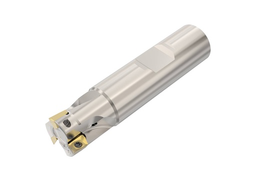 R217.69-1616.3-06-3AN